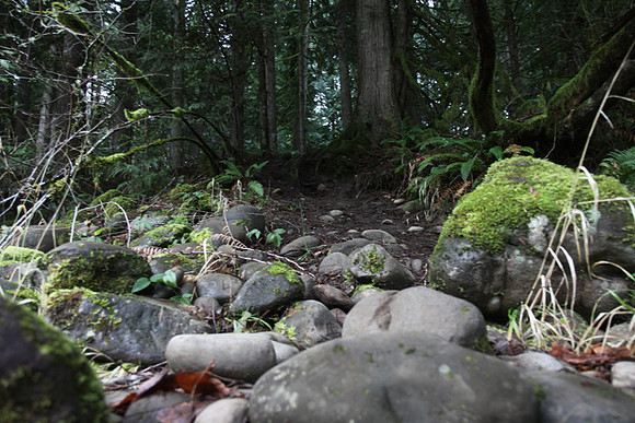 McIver Park Horse Trail 2-5209