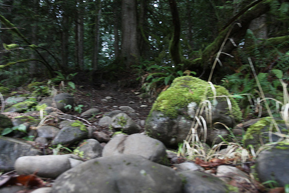 McIver Park Horse Trail 2-5210
