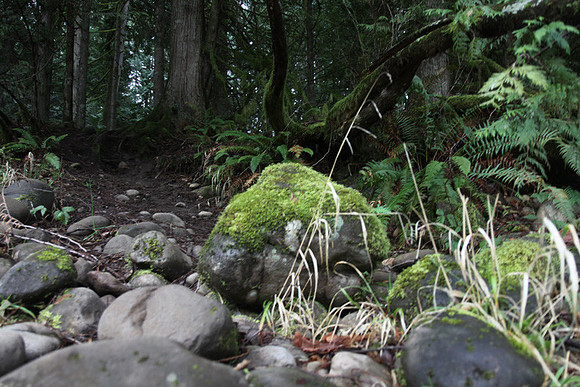 McIver Park Horse Trail 2-5211