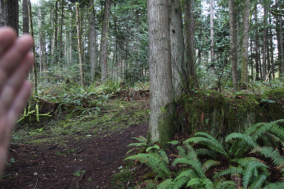 McIver Park Horse Trail 2-5212
