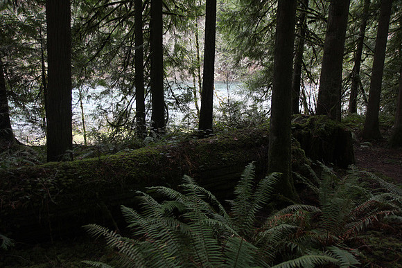 McIver Park Horse Trail 2-5216