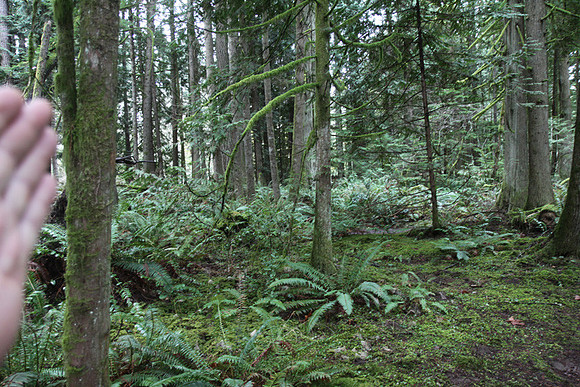 McIver Park Horse Trail 2-5217