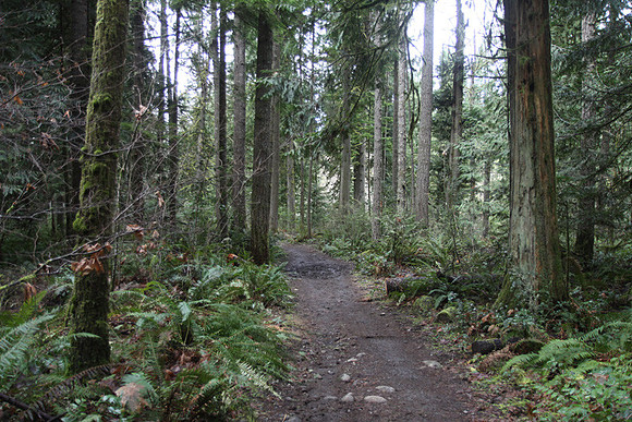 McIver Park Horse Trail 2-5225