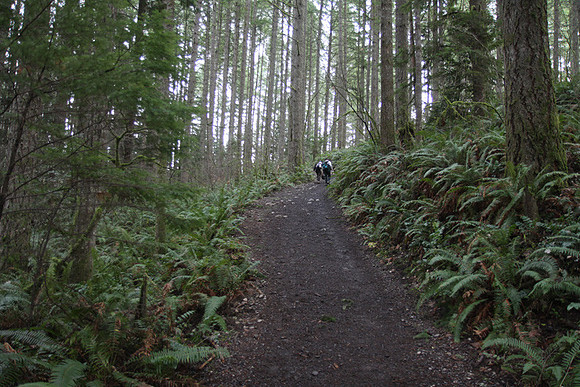 McIver Park Horse Trail 2-5226