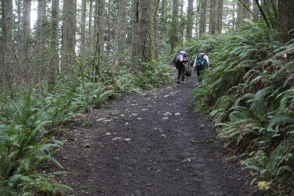 McIver Park Horse Trail 2-5227