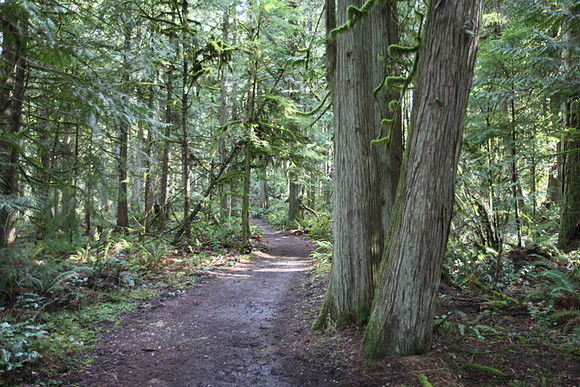 McIver Park Horse Trail 2-5240