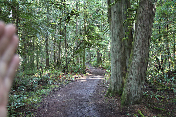 McIver Park Horse Trail 2-5241