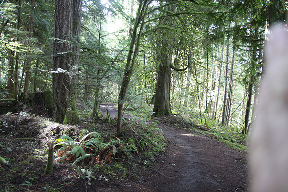 McIver Park Horse Trail 2-5245
