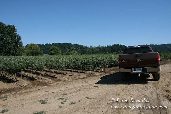Farm 4 has Barns Shops they grow Wheat and Corn.  in the Portland Zone