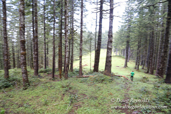 Ross on Fairview Mt Rd-1901