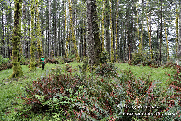 Ross on Fairview Mt Rd-1832