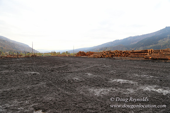 SDS Lumber-1449