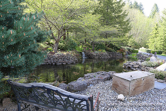 Brians Pond & Drive-9934
