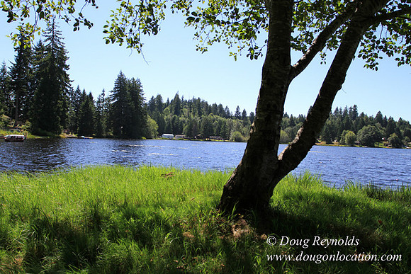 Richter Lake House-8419