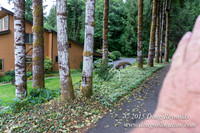 Bob & Lue Lake House