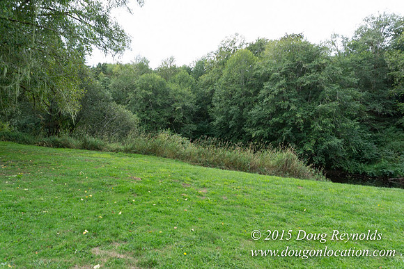 Dons River House