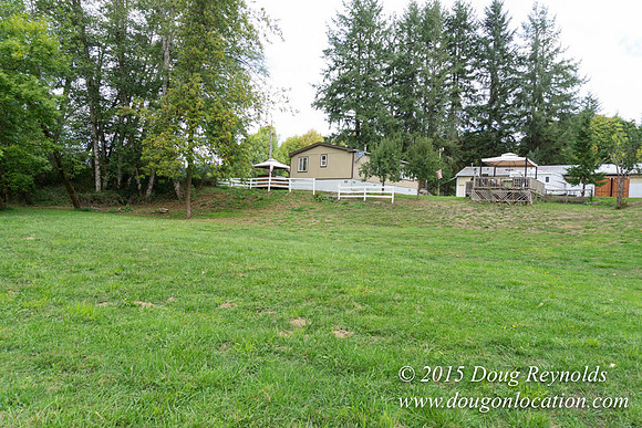 Dons River House