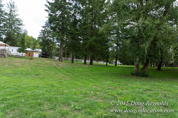Dons River House