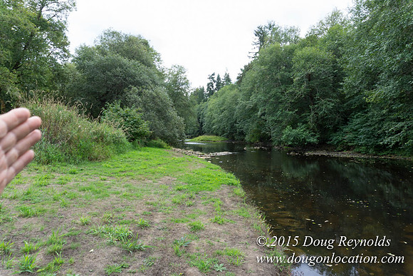 Dons River House
