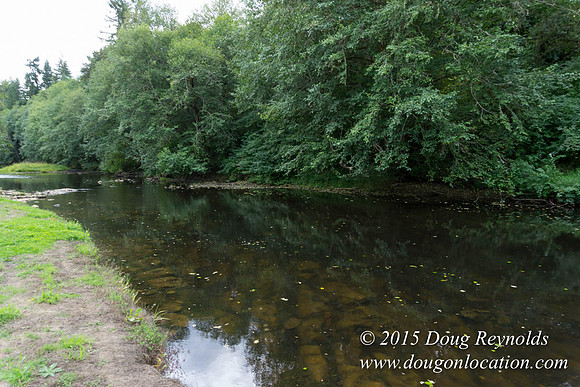Dons River House
