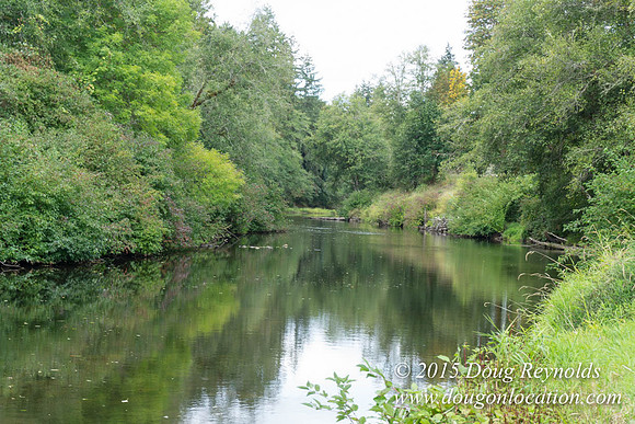 Dons River House