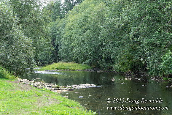 Dons River House
