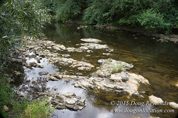 Dons River House