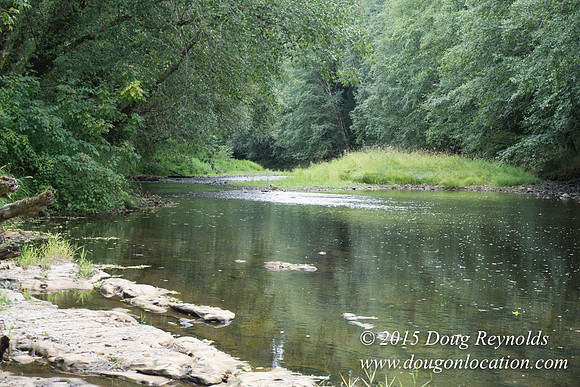 Dons River House