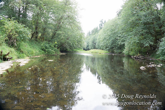 Dons River House