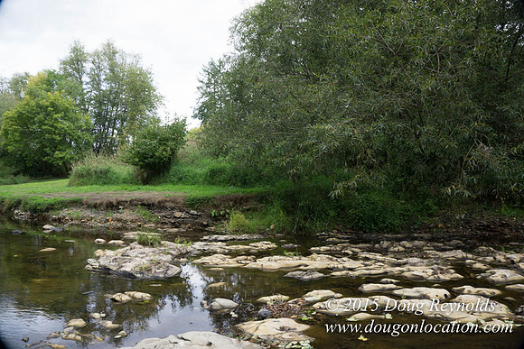 Dons River House