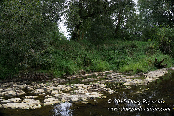 Dons River House