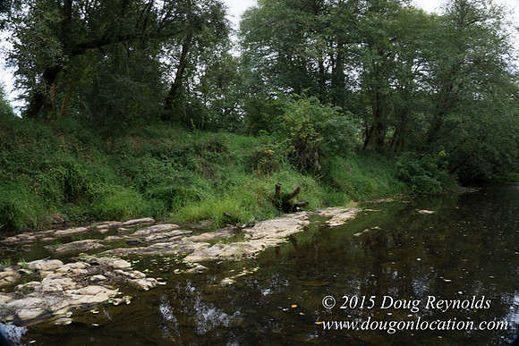 Dons River House