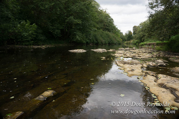 Dons River House