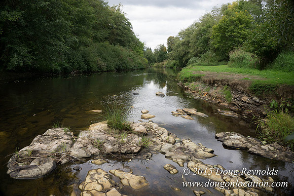 Dons River House
