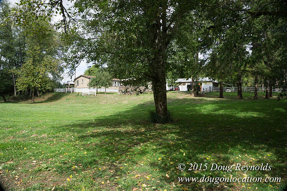 Dons River House