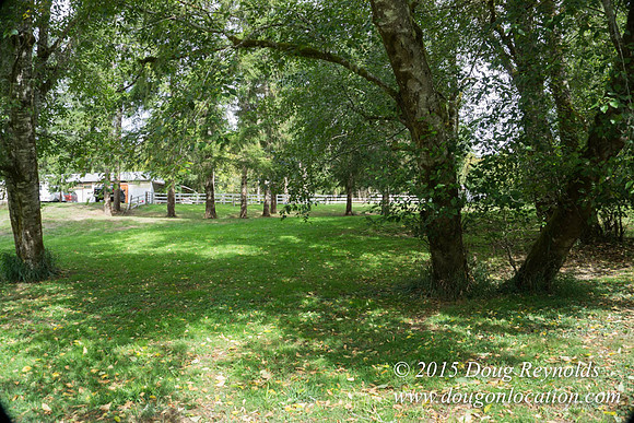 Dons River House