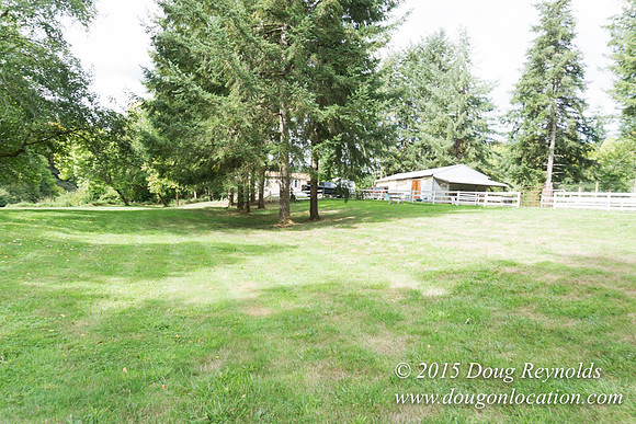 Dons River House
