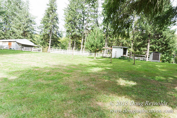 Dons River House