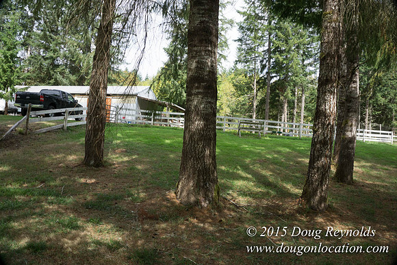 Dons River House