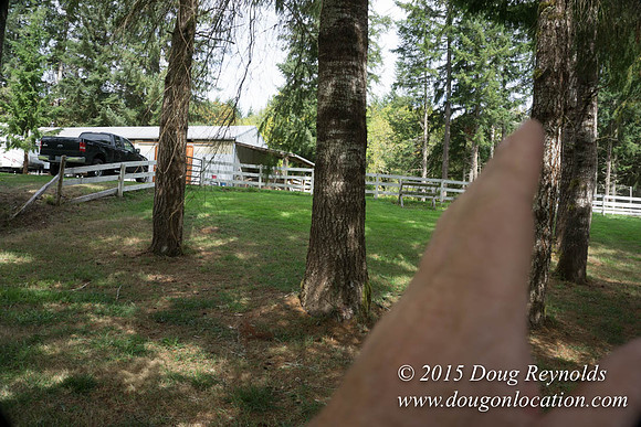 Dons River House