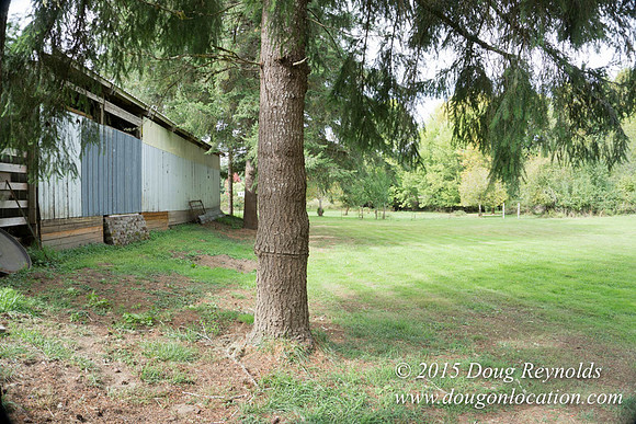 Dons River House