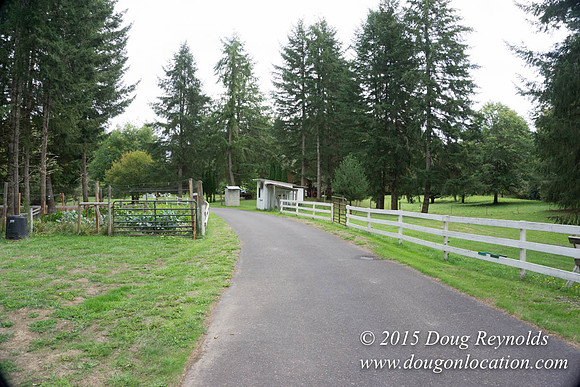 Dons River House