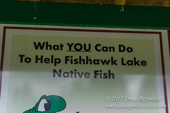 Fishhawk Lake & Club House