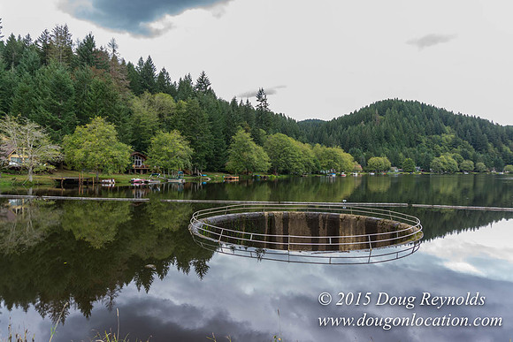 Fishhawk Lake & Club House