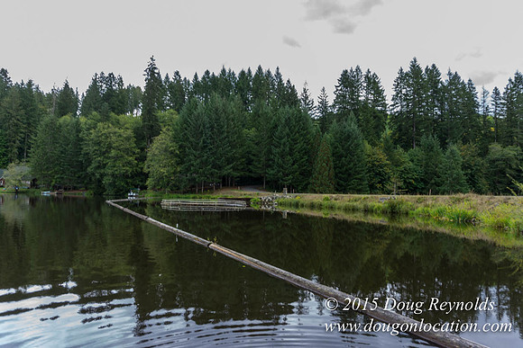 Fishhawk Lake & Club House
