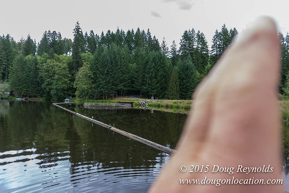 Fishhawk Lake & Club House