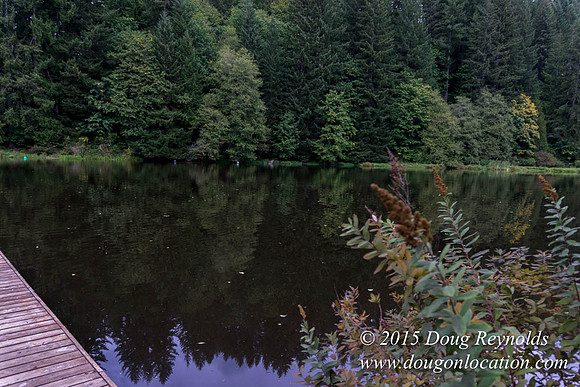 Fishhawk Lake & Club House