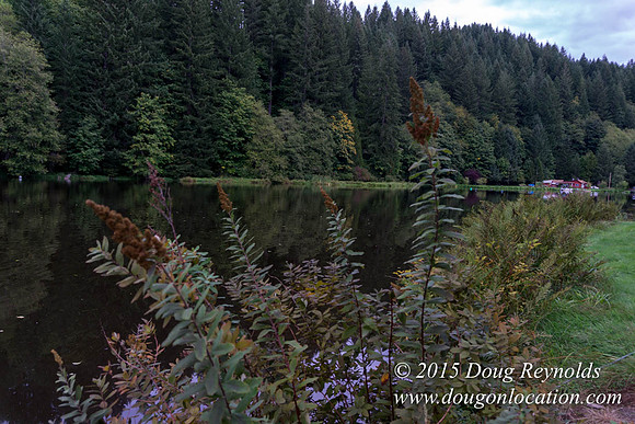 Fishhawk Lake & Club House