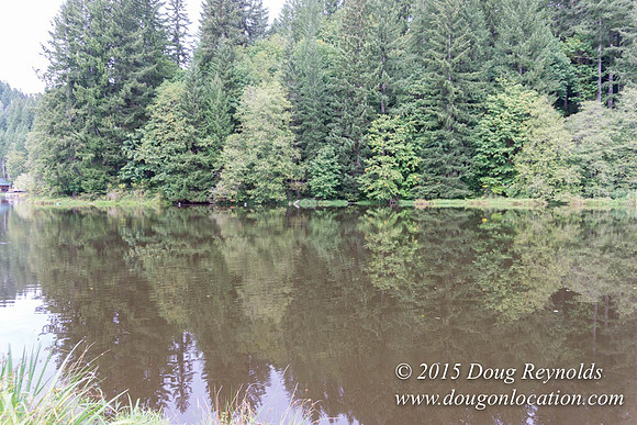 Fishhawk Lake & Club House