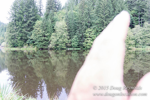 Fishhawk Lake & Club House